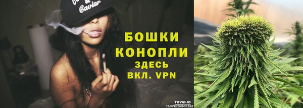 молекула духа Михайлов