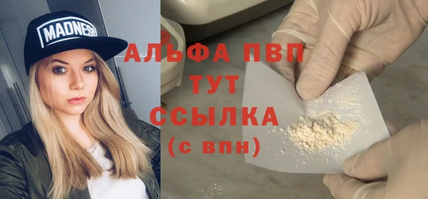 молекула духа Михайлов