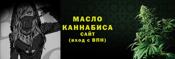 молекула духа Михайлов