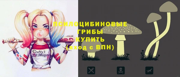 молекула духа Михайлов