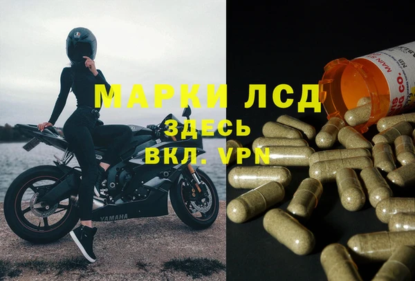 спиды Михайловка