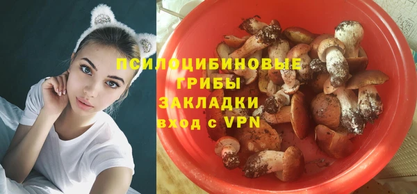 хмурый Михайловск