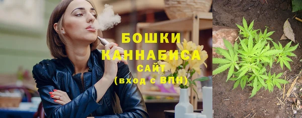 хмурый Михайловск