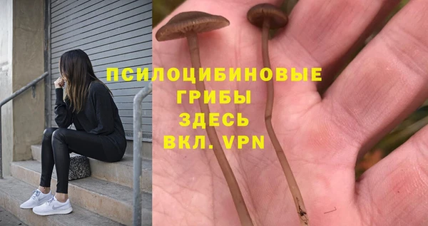 хмурый Михайловск