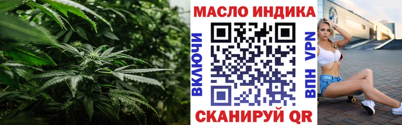 Купить где  Аркадак  Дистиллят ТГК концентрат 