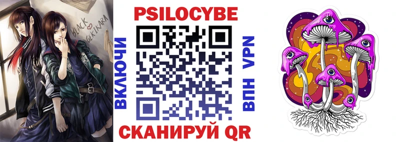 Купить  Аркадак  Галлюциногенные грибы ЛСД 
